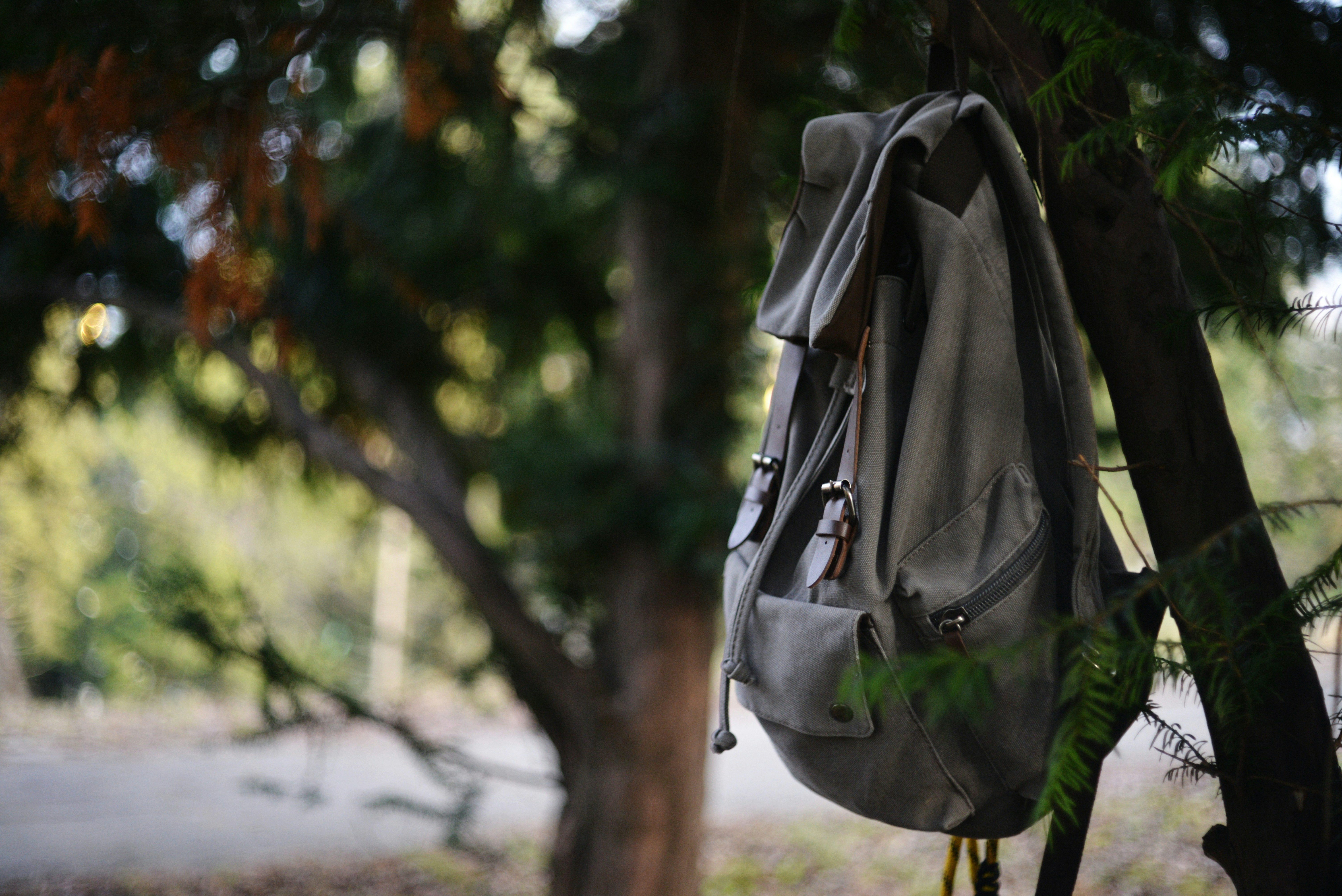A bag placed on a tree